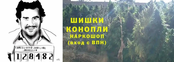 mdpv Заводоуковск