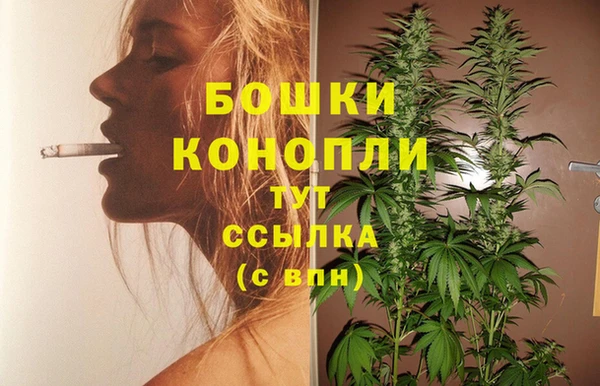 mdpv Заводоуковск